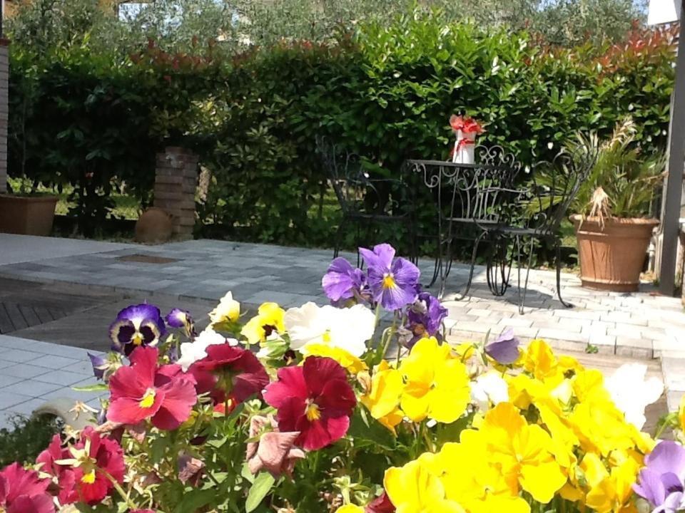 Villa Elisa Gambettola Exterior foto
